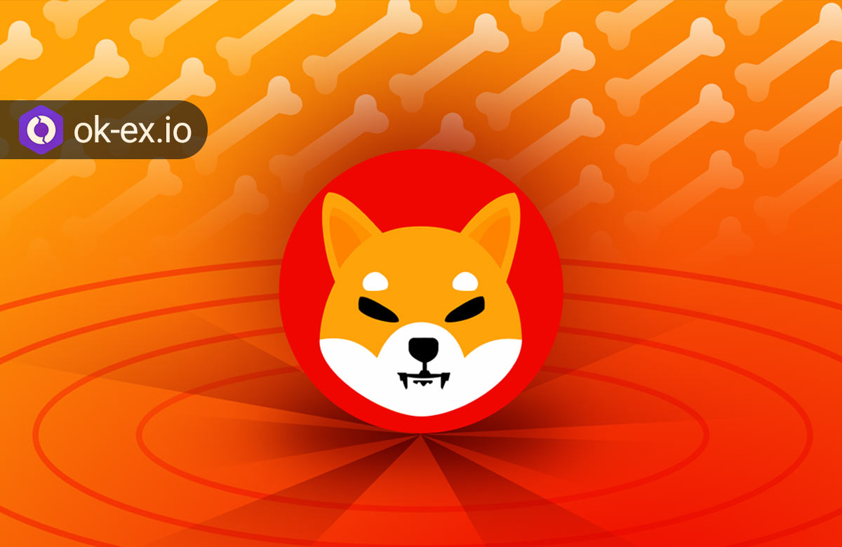 اکوسیستم Shiba Token